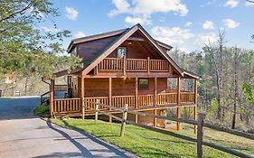Peace Of Mind Cabin